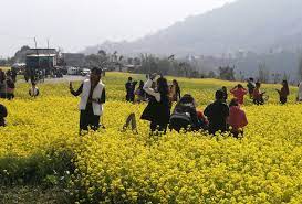 म्याग्दीको बेनी नगरपालिका–१,रत्नेचौरको तोरीबारीमा घुम्न जान रोक