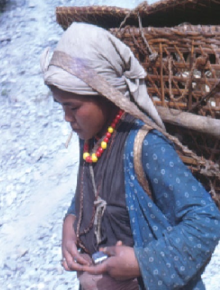 भारी बोकेर परिवारको खर्च जोहो  ..?