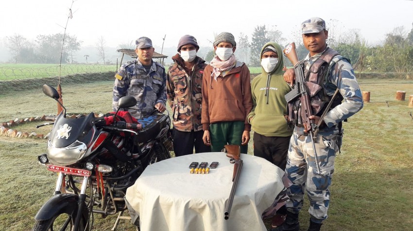 बन्दुकसहित तीन जना पक्राउ