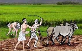 कसरी हुन्छ निर्यातमा सुधार?  जहा किसानलाई संरक्षण छैन,