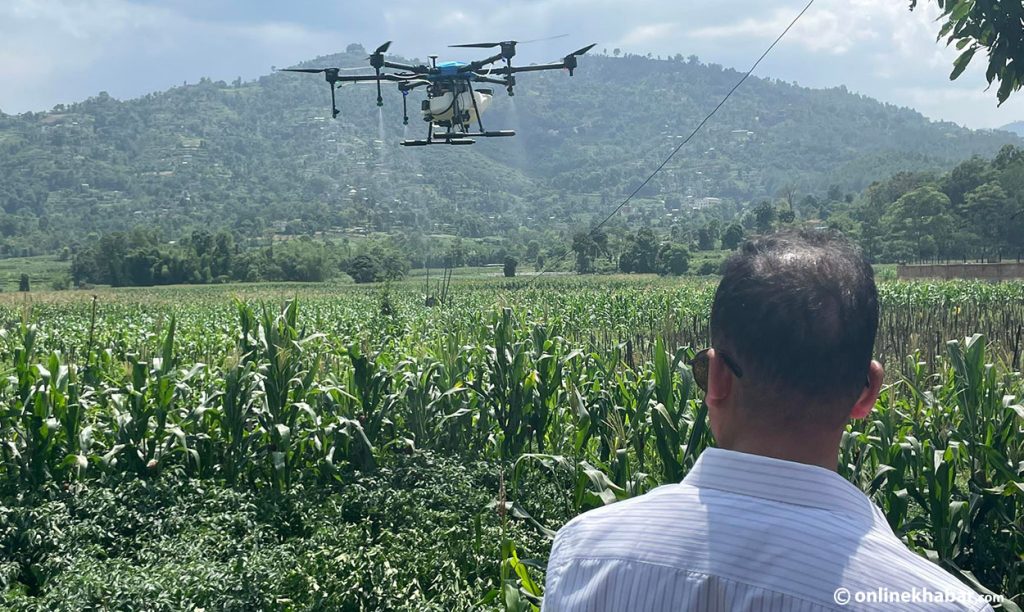 काभ्रेको पाँचखालमा खेतबारीमा विषादी छर्न ड्रोनको परीक्षण ,