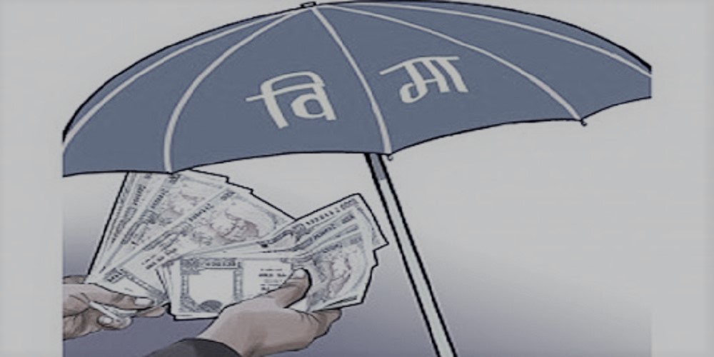 सर्वसाधारणमा सेयर जारी नगरेका बिमा कम्पनीहरू मर्जरमा जान सक्ने