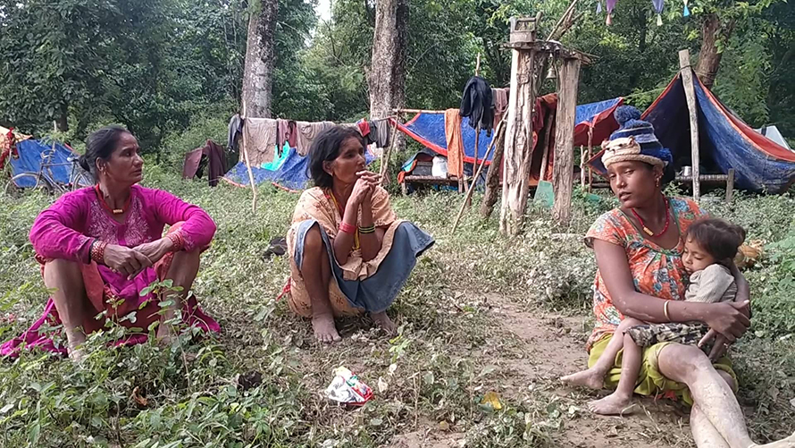 जङ्गलमा त्रिपाल टाँगेर ओत बसेका बाढीपीडित भन्छन् परिवार कसरी पाल्ने?