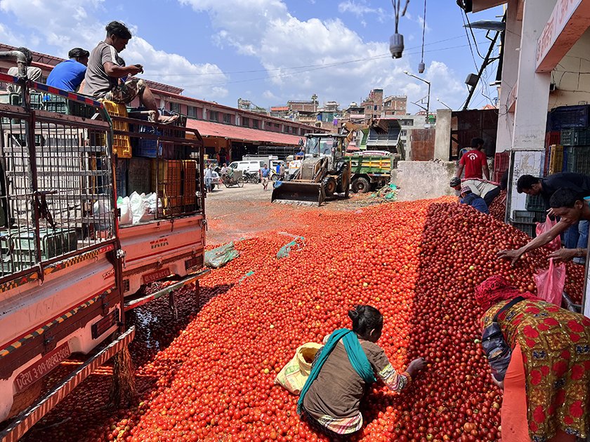 स्वदेशी गोलभेँडा दुई रूपैयाँमा  पनि बिकेन,