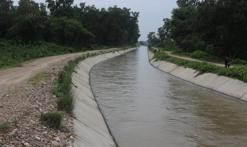 महाकाली सिँचाइ आयोजनाले तेस्रो चरणको मूल नहरमा परीक्षणका लागि पानी छोड्ने तयारी,