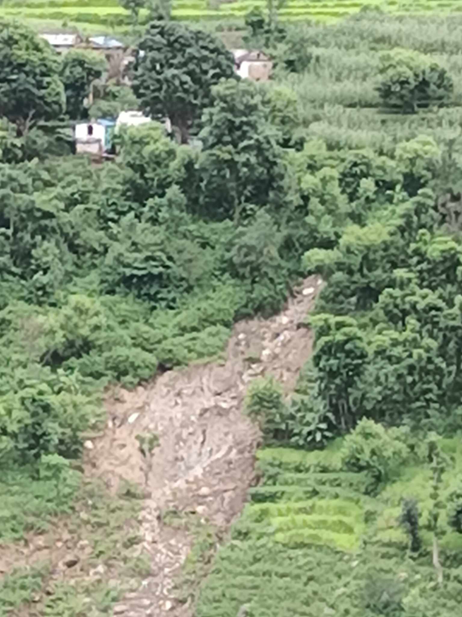 बाजुराको त्रीवेणी नगरपालिका वडा न ८,मा १७ घर परिवारको बस्ती पहिरोले बिचल्ली,