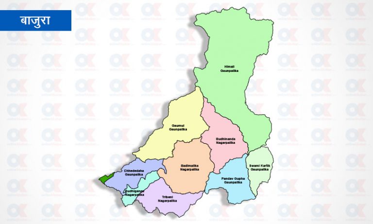 बाजुरा भुलेनमा छानो पछाडीको रुख ढलेर एक जनाको मृत्यु