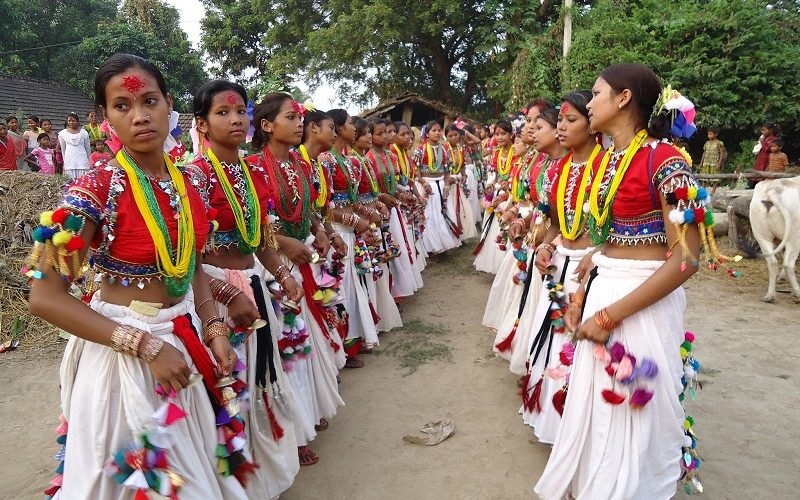 चाडपर्व नजिकिएसँगै थारु बस्तीमा सखिया नाचको रौनक