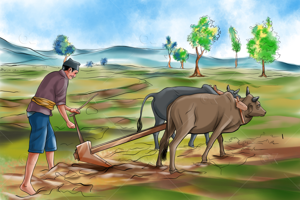४३ प्रतिशत किसान परिवारलाई खाना अपुग   मधेशमा