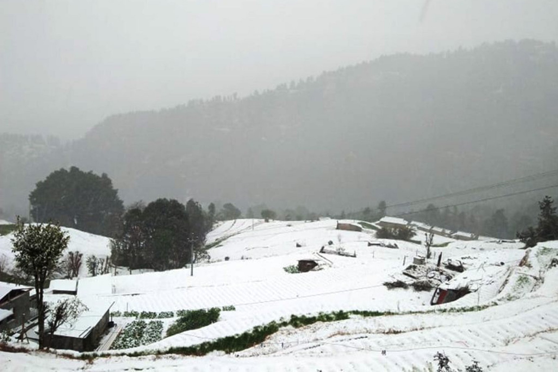 उच्च पहाडी तथा हिमाली भूभागमा हिमपात, तराईमा हुस्सु