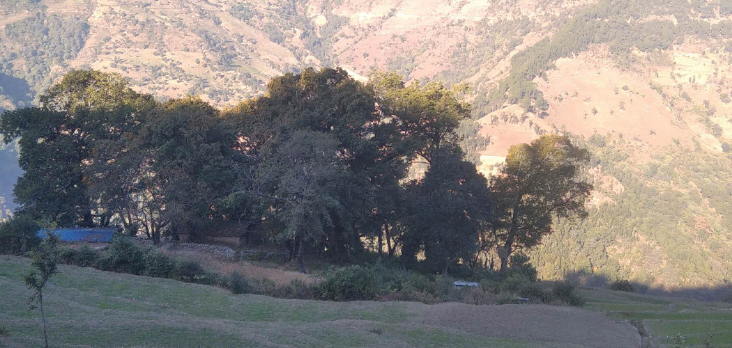 बाजुरामा महिनावारी भएकालाई सार्वजनिक बाटो हिँड्न प्रतिबन्ध